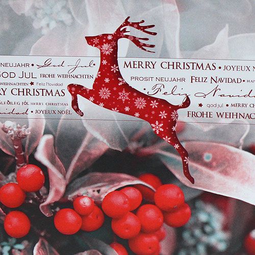 Floristik24 Christmas cards 12,5x12,5cm 6pcs