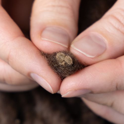 Product Fluffy Mirabell wool cord, brown, 25m decorative ribbon for floristry and crafts