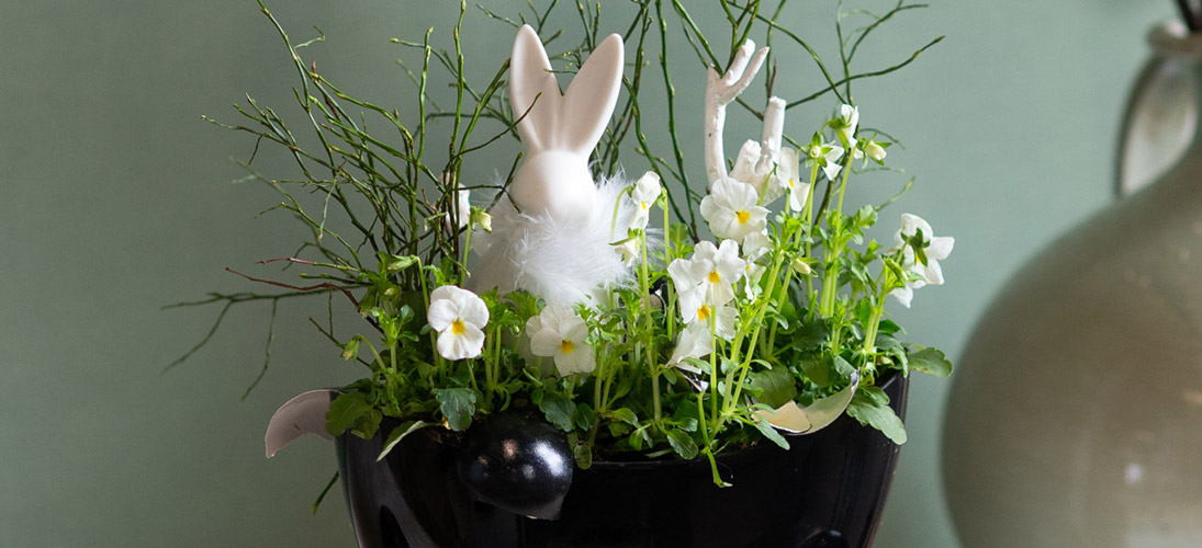 Plastic planters