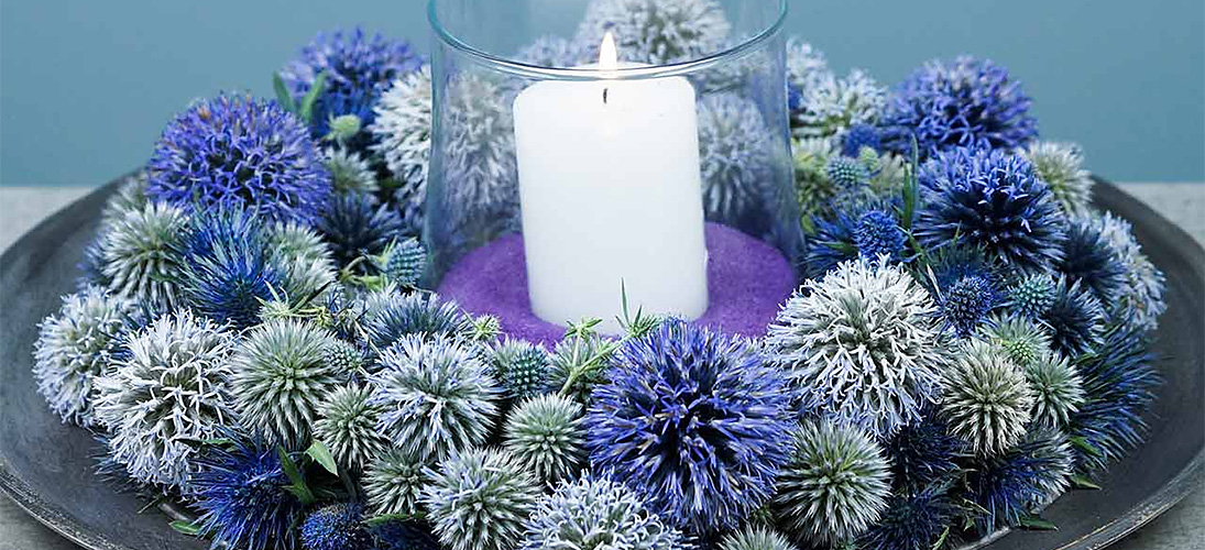 Floral foam ring & wreath