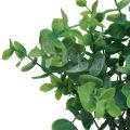 Floristik24 Artificial eucalyptus branches artificial plants green 34cm 6pcs