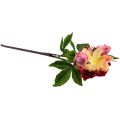 Floristik24 Peonies Silk Flowers Artificial Flowers Pink Pink 68cm