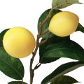 Floristik24 Decorative lemon branch with 6 artificial lemons 100cm