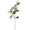 Floristik24 Eucalyptus branch artificial decorative branch green 60cm