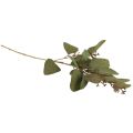 Floristik24 Eucalyptus branch artificial decorative branch green 60cm