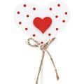 Floristik24 Hearts dotted wooden hearts flower plugs 6×5cm 18pcs