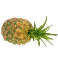 Floristik24 Pineapple mini artificial 20cm