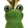Floristik24 Decorative frog, frog prince, spring decoration, frog with gold crown green 40.5cm