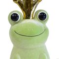 Floristik24 Decorative frog, frog prince, spring decoration, frog with gold crown light green 40.5cm