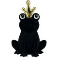 Floristik24 Decorative frog, frog prince, spring decoration, frog with gold crown black 40.5cm