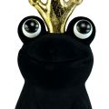 Floristik24 Decorative frog, frog prince, spring decoration, frog with gold crown black 40.5cm