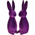 Floristik24 Easter bunnies flocked decorative figures Easter purple 8x10x29cm 2pcs
