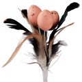 Floristik24 Artificial quail eggs decorative feathers on stick 36cm 12pcs