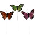 Floristik24 Decorative butterflies on wire feathers green pink orange 6.5×10cm 12pcs
