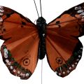 Floristik24 Decorative butterflies on wire feathers green pink orange 6.5×10cm 12pcs