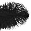 Floristik24 Decorative ostrich feathers black feathers 38-40cm 2pcs