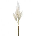 Floristik24 Pampas grass white cream artificial dry grass decoration 82cm