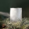 Ice Flower Spray for Glass Decorations, White, 150 ml | Floristik24.co.uk