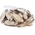 Floristik24 Birch wood slices oval birch slices 4-9cm 450g