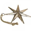 Floristik24 Christmas decoration star pendant golden antique look W19.5cm