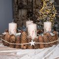 Floristik24 Advent candles Advent wreath 1-4 cream 130/70mm 4pcs