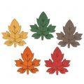 Floristik24 Colorful maple leaf for sprinkling 3.5cm 72pcs