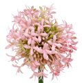 Floristik24 Allium artificial pink 51cm