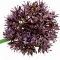 Floristik24 Ornamental Allium Artificial Purple Ø7cm H58cm 4pcs