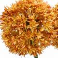 Floristik24 Ornamental onion Allium artificial orange 70cm 3pcs
