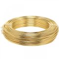 Floristik24 Aluminum wire gold Ø2mm deco wire craft wire round 500g 60m