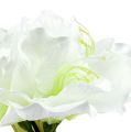 Floristik24 Amaryllis Flower White L 73cm 2pcs