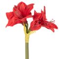Artificial red amaryllis flower with stem, flower decoration for Christmas, 50cm | Floristik24.co.uk