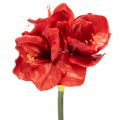 Floristik24 Artificial Amaryllis flower, red, long stem, for vase and arrangement, 77cm