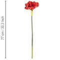 Artificial Amaryllis flower, red, long stem, for vase and arrangement, 77cm | Floristik24.co.uk