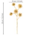 Artificial Amber Fruit Branches Gold Bundle – 26cm (Set of 6) | Floristik24.co.uk