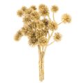 Artificial Amber Fruit Branches Gold Bundle – 26cm (Set of 6) | Floristik24.co.uk