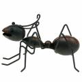 Floristik24 Ant metal brown, black 14.5cm