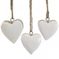 Floristik24 Pendant wooden hearts decorative hearts white Ø5-5.5cm 12pcs