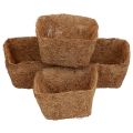 Floristik24 Cultivation pots coconut fiber flower pot natural material coconut plant pot 11cm 12pcs