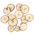 Floristik24 Red apple slices 500g