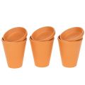 Floristik24 Aquasafe water reservoir with insect drinking trough for garden, balcony, terrace, 12cm, 3 pieces