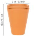 Aquasafe water reservoir with insect drinking trough for garden, balcony, terrace, 12cm, 3 pieces | Floristik24.co.uk