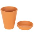 Aquasafe water reservoir with insect drinking trough for garden, balcony, terrace, 12cm, 3 pieces | Floristik24.co.uk