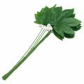 Floristik24 Aralia leaf with stem green L61.5cm 12pcs