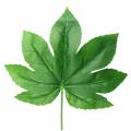 Floristik24 Aralia leaf with stem green L61.5cm 12pcs