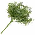 Floristik24 Asparagus bush Ornamental asparagus pick with 9 branches of artificial plant