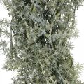 Floristik24 Decorative asparagus wreath artificial asparagus white, gray Ø32cm