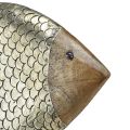 Floristik24 Wood metal decorative fish maritime brass 33x11.5x37cm