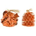 Floristik24 Oyster Shells Capiz Slices in Net Orange 3.5–9.5cm 2pcs