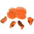 Floristik24 Oyster Shells Capiz Slices in Net Orange 3.5–9.5cm 2pcs